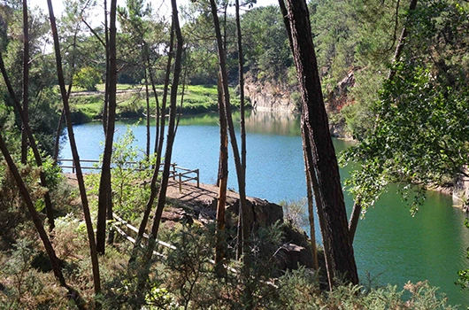 Le Bois de Saint-Gildas